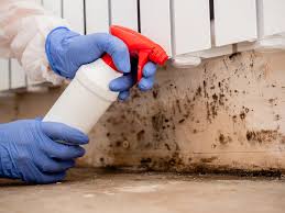 Reliable Red Lake, MN Mold Inspection Solutions